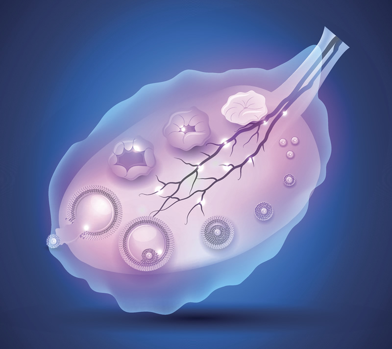 2026年兰州试管婴儿医院排名前十强榜单：聚焦遗传病阻断技术，附三代试管费用与深度解析